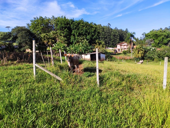 Terreno à venda com 3 quartos, 420m² - Foto 8