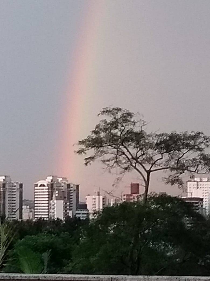 Cobertura à venda com 3 quartos, 140m² - Foto 10