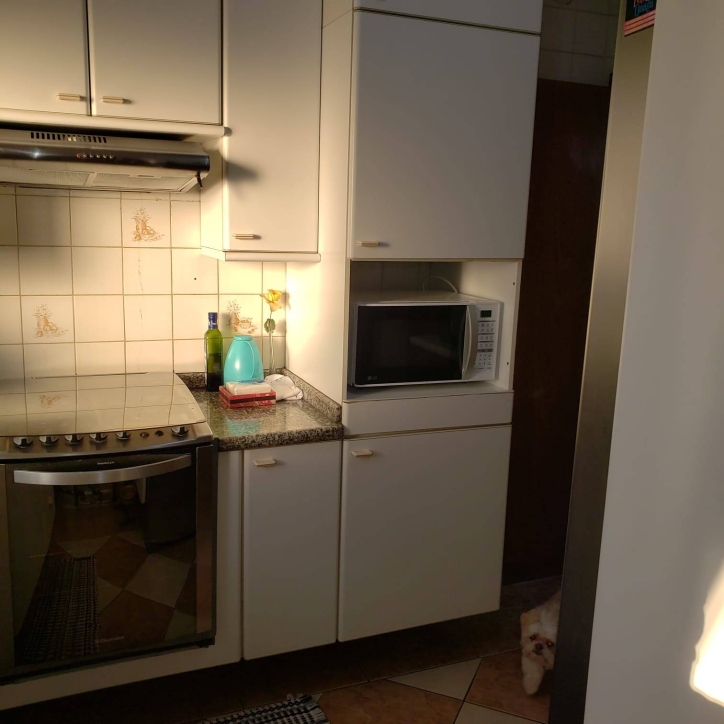 Apartamento à venda com 3 quartos, 72m² - Foto 11