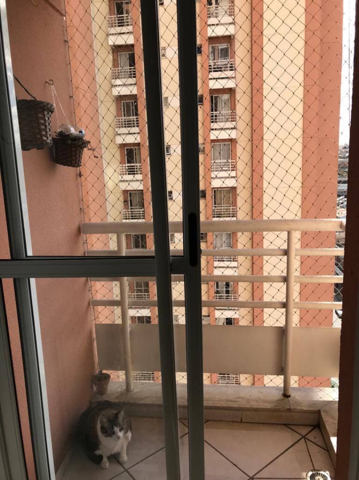 Apartamento à venda com 3 quartos, 60m² - Foto 3