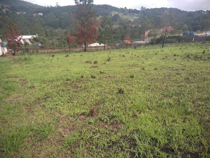 Terreno à venda, 2000m² - Foto 1