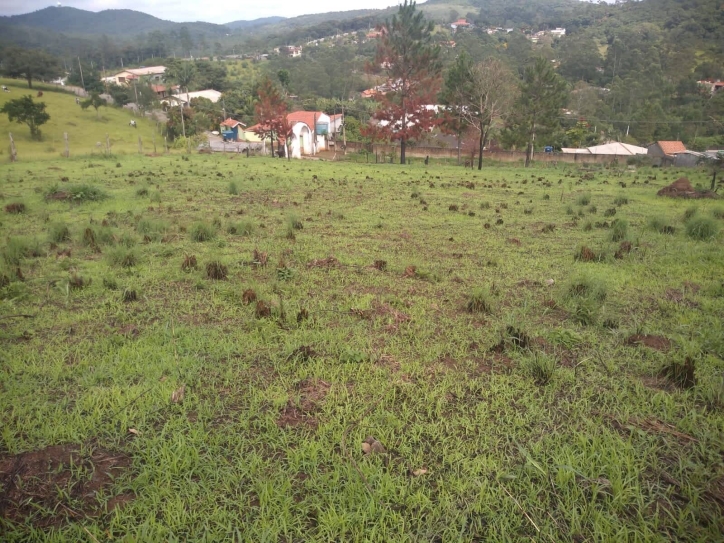 Terreno à venda, 2000m² - Foto 7