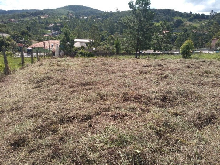 Terreno à venda, 2000m² - Foto 11