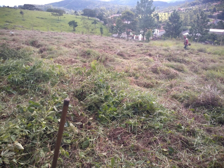 Terreno à venda, 2000m² - Foto 12