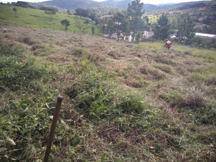 Terreno à venda, 2000m² - Foto 13