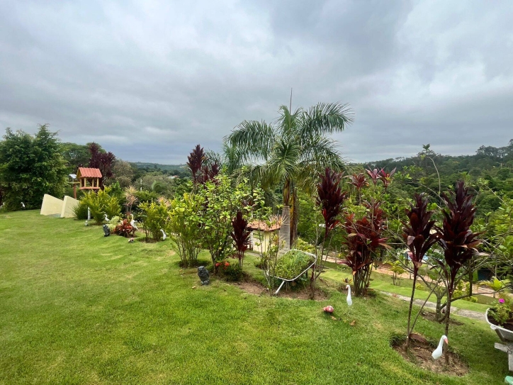 Fazenda à venda com 4 quartos, 380m² - Foto 37