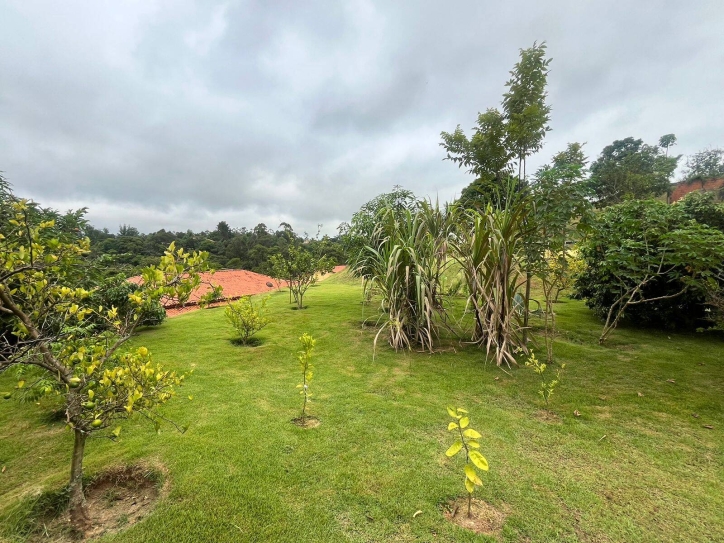 Fazenda à venda com 4 quartos, 380m² - Foto 52