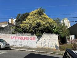 #C3648 - Terreno para Venda em São Caetano do Sul - SP - 3