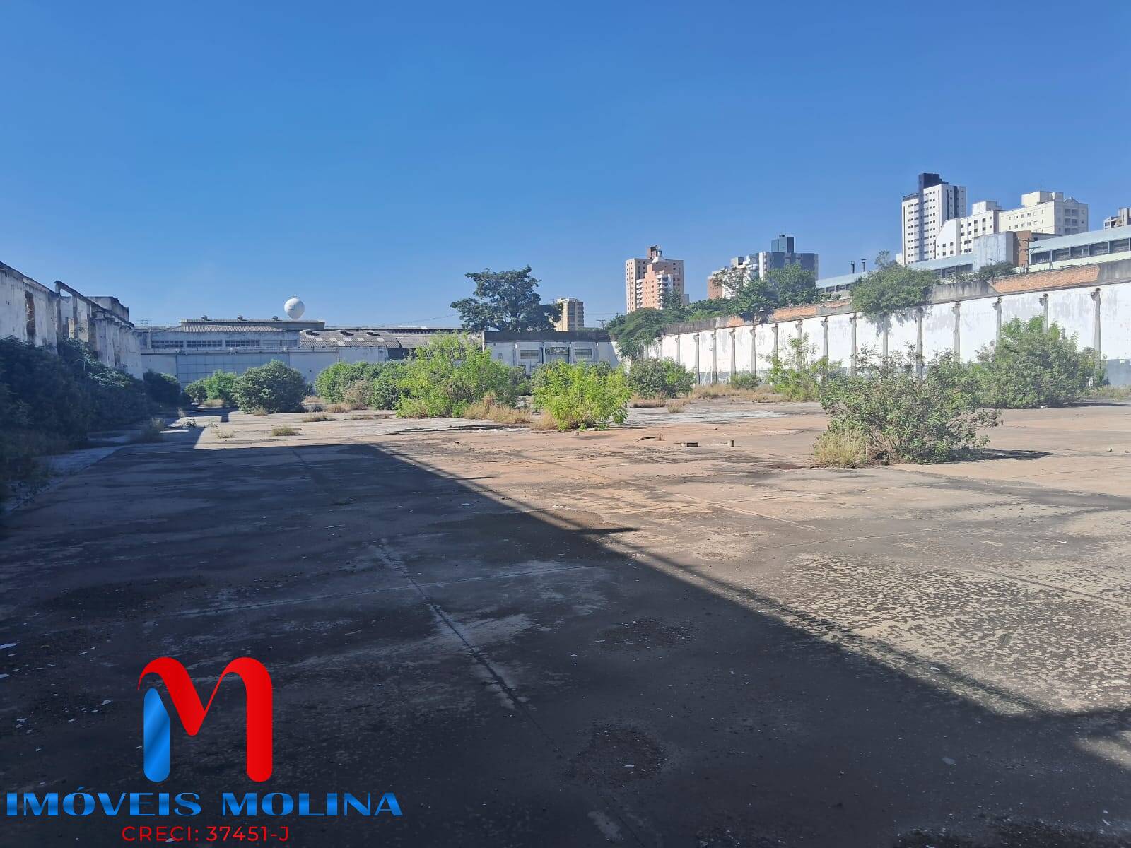 Terreno à venda e aluguel, 7300m² - Foto 4