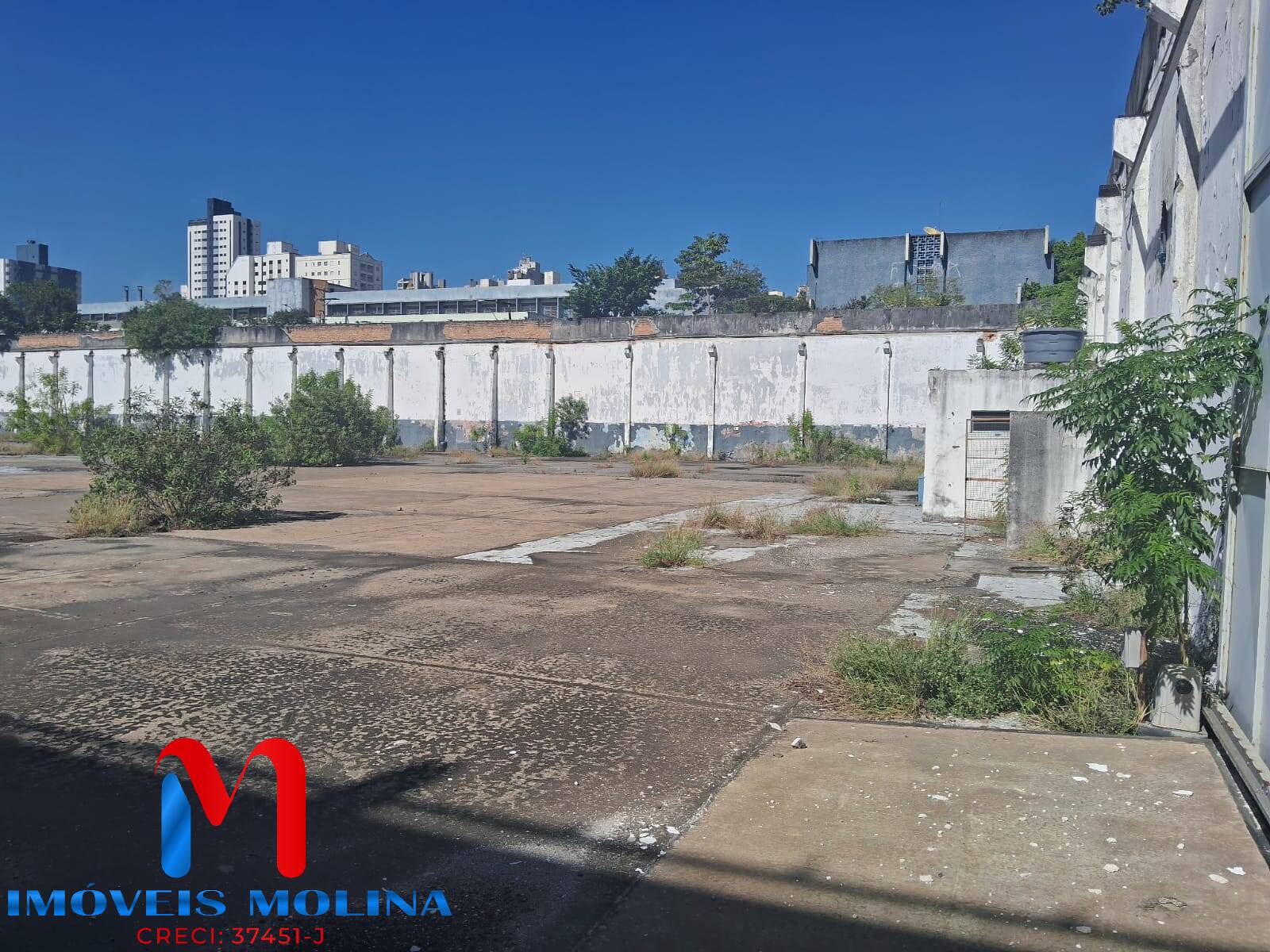 Terreno à venda e aluguel, 7300m² - Foto 2