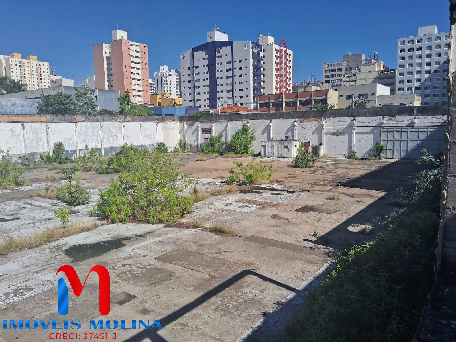 Terreno à venda e aluguel, 7300m² - Foto 1